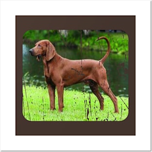 REDBONE COONHOUND DOG Posters and Art